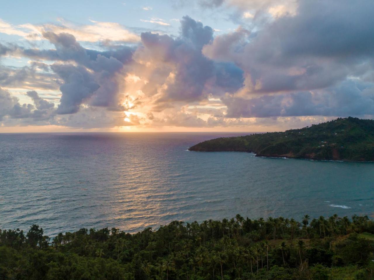 Pagua Bay House - Oceanfront Cabana'S Marigot Buitenkant foto