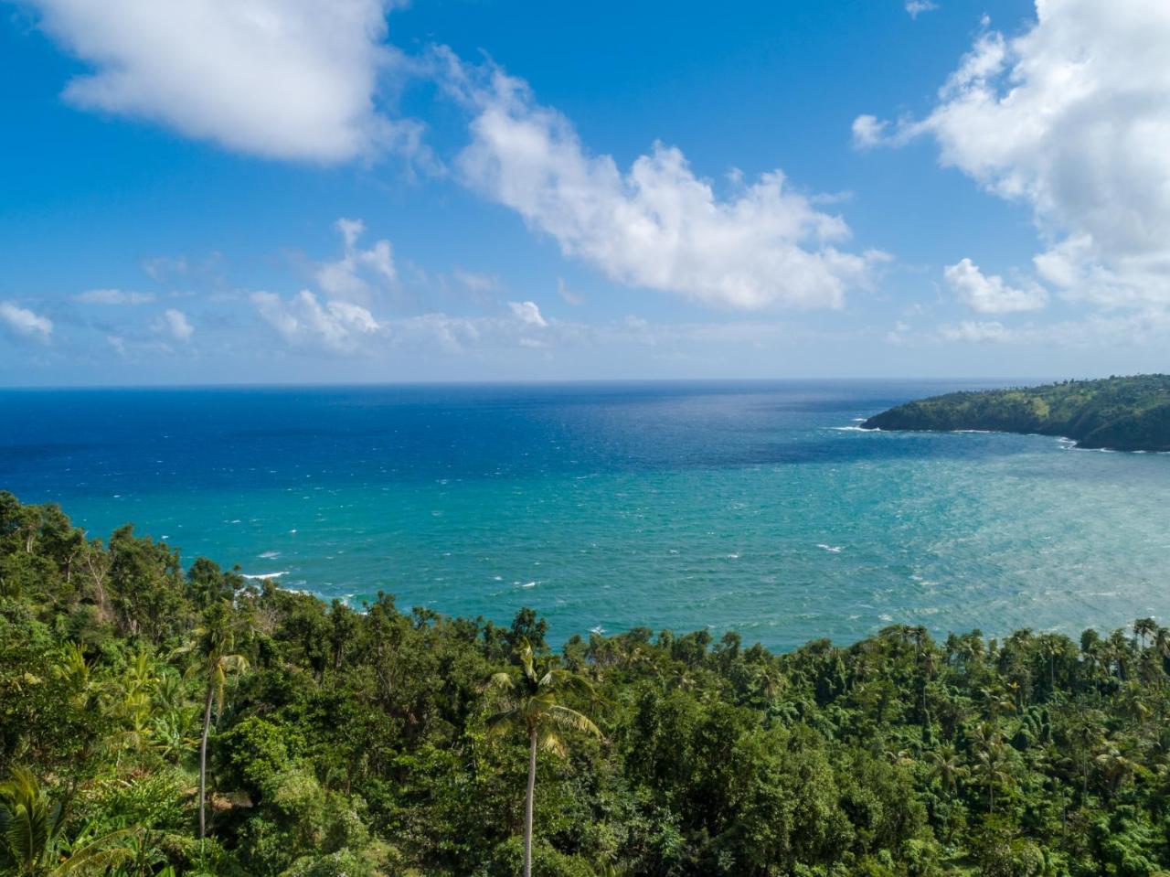 Pagua Bay House - Oceanfront Cabana'S Marigot Buitenkant foto