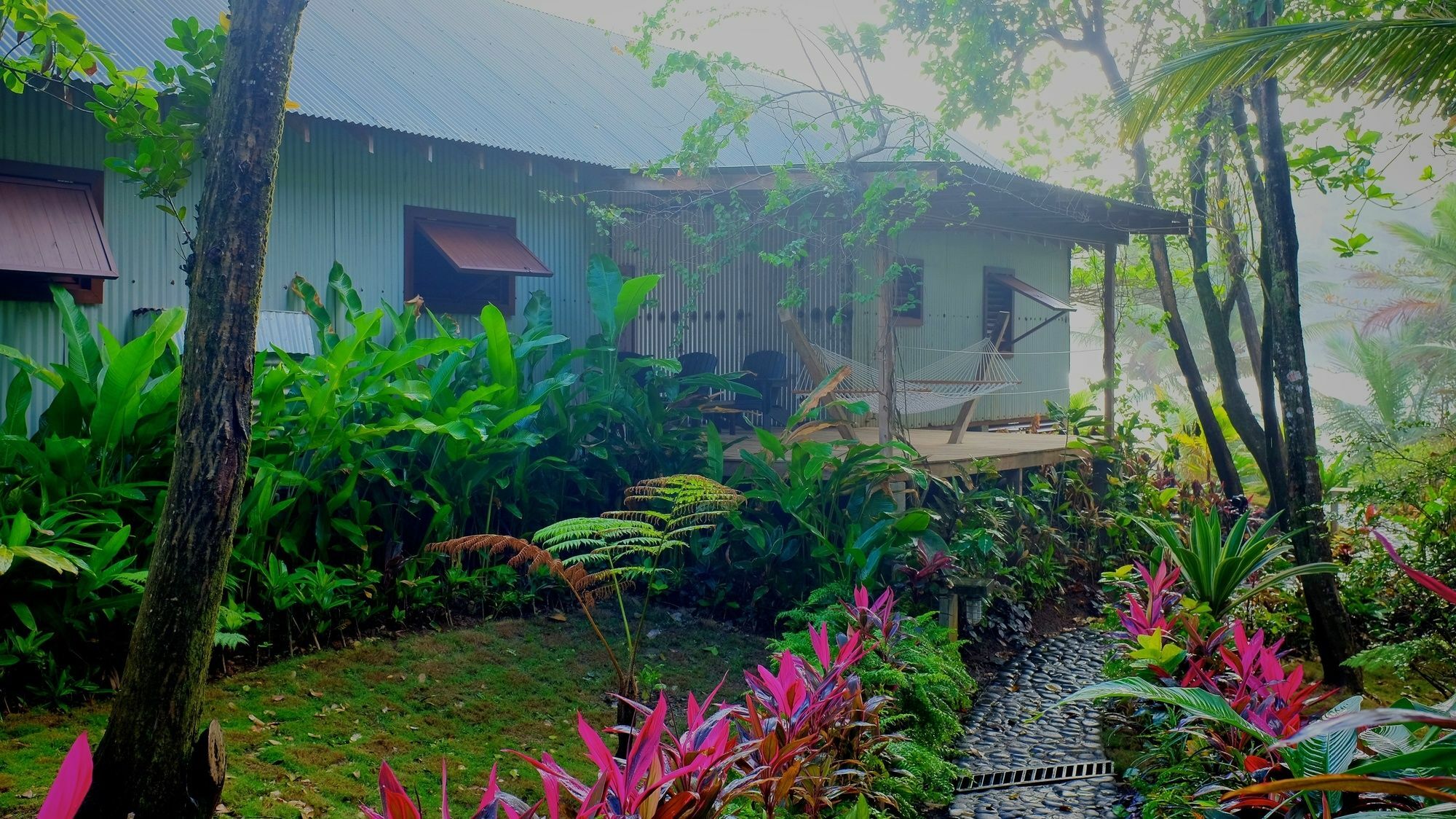 Pagua Bay House - Oceanfront Cabana'S Marigot Buitenkant foto